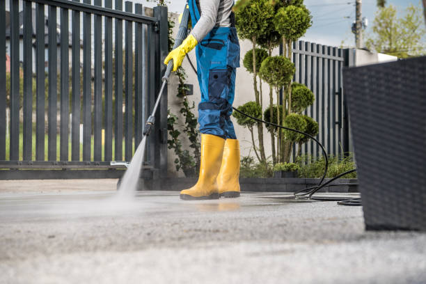 Best Sidewalk and Walkway Cleaning  in Bolivar, WV